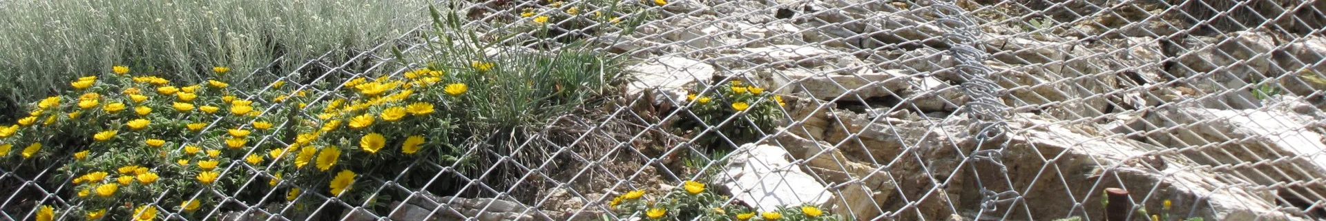 Active Slope Protection Net product photo showing the product structure