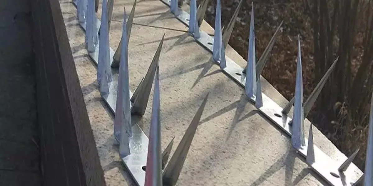 Wall Spike product image showing structure and appearance